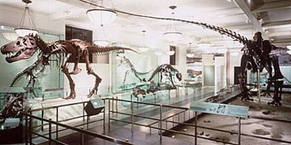 El Museo Americano de Historia Natural, el Museo Metropolitano de Arte y el Museo de Arte Moderno están climatizados y ofrecen una experiencia cultural enriquecedora