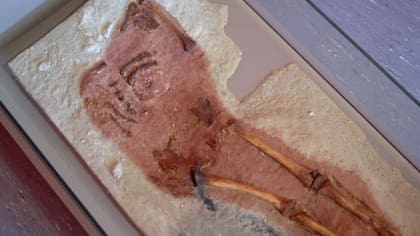 El esqueleto del niño estaba casi intacto