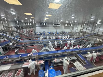 El establecimiento de Interpork SA del cual son socios los productores