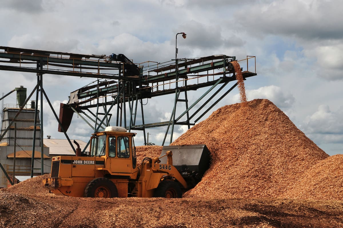 El establecimiento forestal de Las Marías