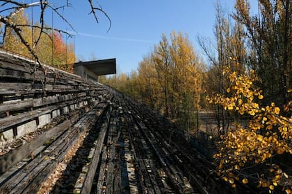 El estadio en al actualidad, totalmente abandonado y mezclado con la naturaleza
