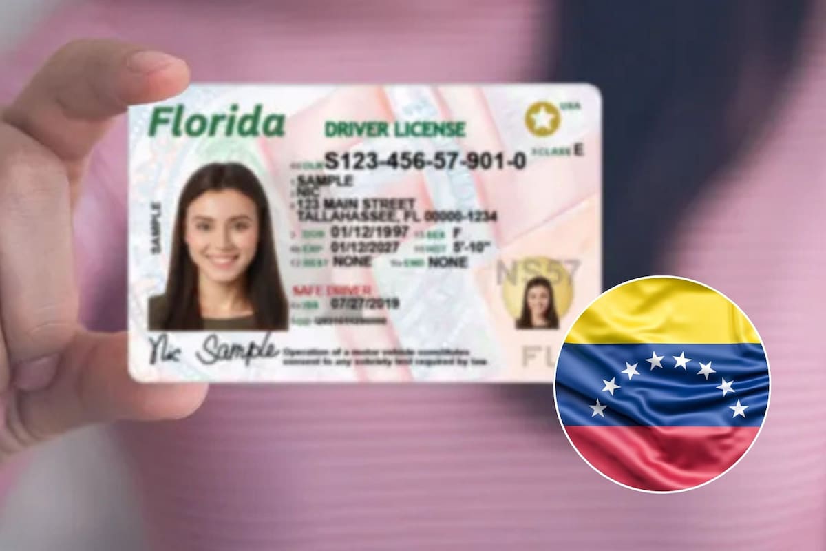 El estado de Florida vuelve a entregarle licencias de conducir a los venezolanos legibles, luego de la extensión del TPS