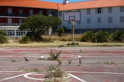 El estado de la cancha de básquet