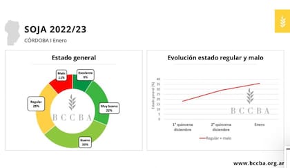 El estado de los cultivos de soja en la provincia de Córdoba