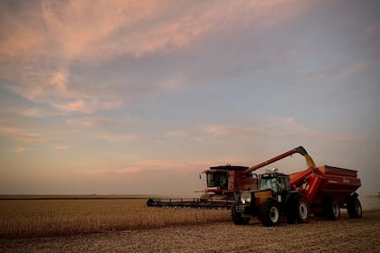 El Estado se queda con el 82,6% de la renta que genera, en un planteo promedio, una hectárea de soja en un campo alquilado de la región núcleo