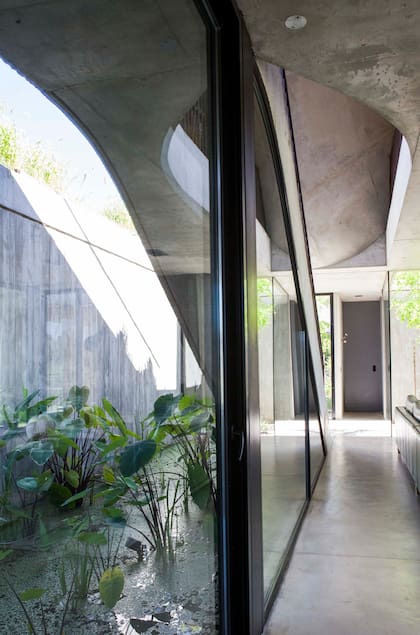 El estanque, casi una marca registrada de AtelierM, recircula el agua, que se purifica gracias a las plantas acuáticas y “manda” aire fresco y limpio al interior de la casa.