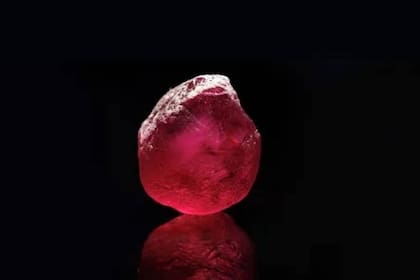 El Estrela de Fura se subastó a un precio récord de 34,8 millones de dólares