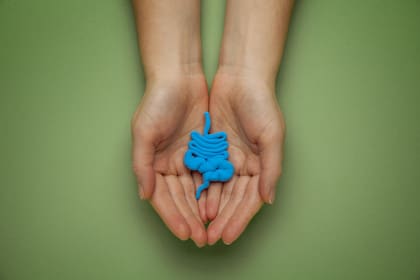El estrés, los productos comestibles, la exposición constante a moléculas tóxicas, la falta de sueño y de silencio influyen en el intestino
