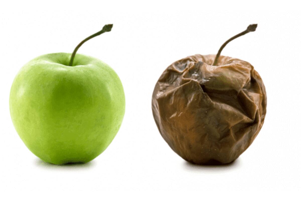 El estrés oxidativo tiene lugar cuando se producen en nuestro cuerpo compuestos que no son útiles para la vida