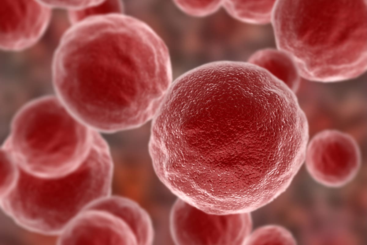 El estudio analizó el genoma completo de más de 2600 personas que sufrían 38 tipos de tumores diferentes