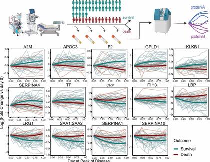 El estudio del proteoma en la sangre de 50 pacientes graves con covid permitió identificar 14 proteínas que evolucionaron de forma diferente entre los supervivientes y los que murieron
