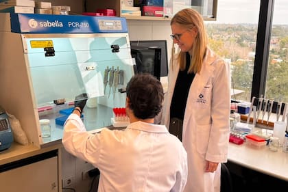 El estudio demostró en modelos experimentales que bloquear la proteína SMYD2 puede reducir el crecimiento del hepatocarcinoma