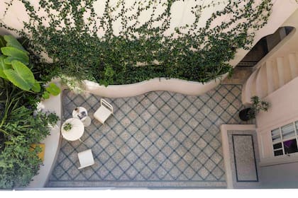 El Estudio diseñó un cantero curvo que relaja al patio visualmente, con paisajismo de De Raíz Plantas. Con el tiempo, esta enredadera va a terminar de tomar el muro, reforzando la sensación de un jardín contenido.