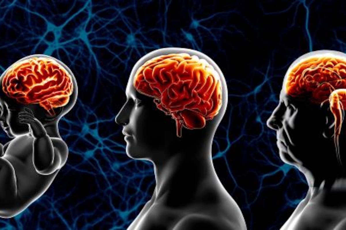 El estudio fue realizado por centros universitarios de Alemania, Estados Unidos y Suiza