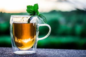El estudio japonés indica que este té puede contener “hasta 22 veces más calcio que la mismísima leche” (Foto ilustrativa: PIXABAY)