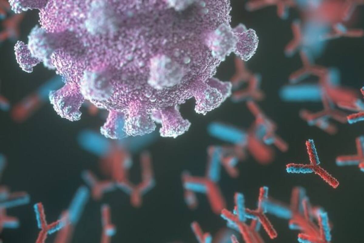 El estudio lo hizo un equipo de investigadores de la Escuela de Medicina de la Universidad de Stanford