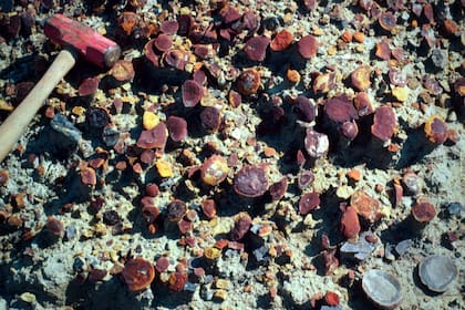 El estudio permitió descubrir cómo la preservación fósil en Mazon Creek permitió conservar la diversidad de vida que habitó la tierra, los deltas y los mares