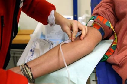El estudio se basó en el análisis de muestras de sangre procedentes de donaciones recogidas por la Cruz Roja