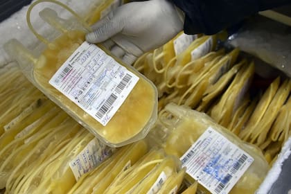 El estudio sobre uso de plasma de convalecientes que coordinó la Fundación Infant logró una eficacia del 61% en evitar que la enfermedad sea grave en mayores de 65