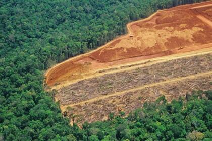 El estudio tiene en cuenta, por primera vez, las emisiones causadas por la deforestación, no solo la quema de combustibles fósiles