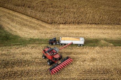 El etanol de maíz es uno de los biocombustibles más eficientes