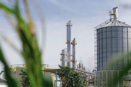 La levadura aprobada aumenta hasta tres por ciento la eficiencia de conversión de grano en ese biocombustible