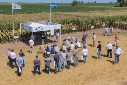 El evento tendrá una propuesta integral de agroinsumos, tecnología, servicios y soluciones digitales para el productor y las cooperativas agropecuarias