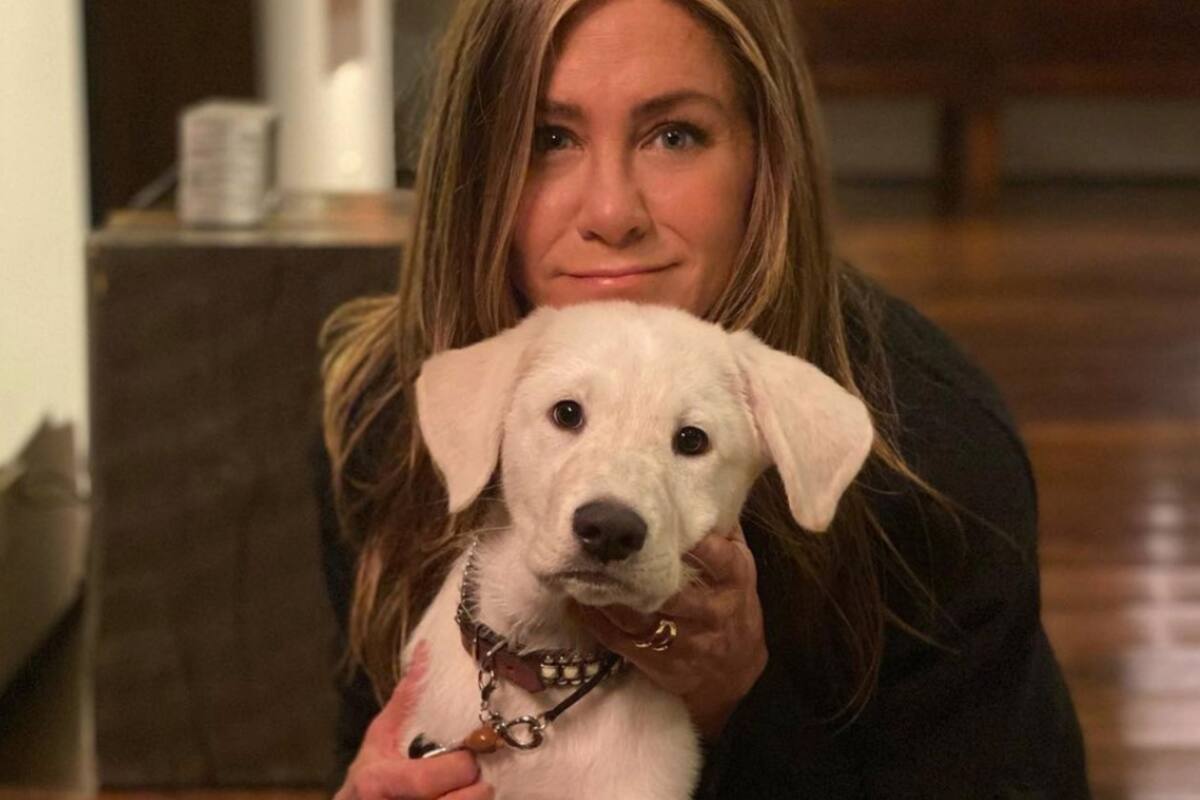 El ex de Jennifer Aniston le dejó un comentario de aliento luego de que la actriz se sinceró en una entrevista con Allure