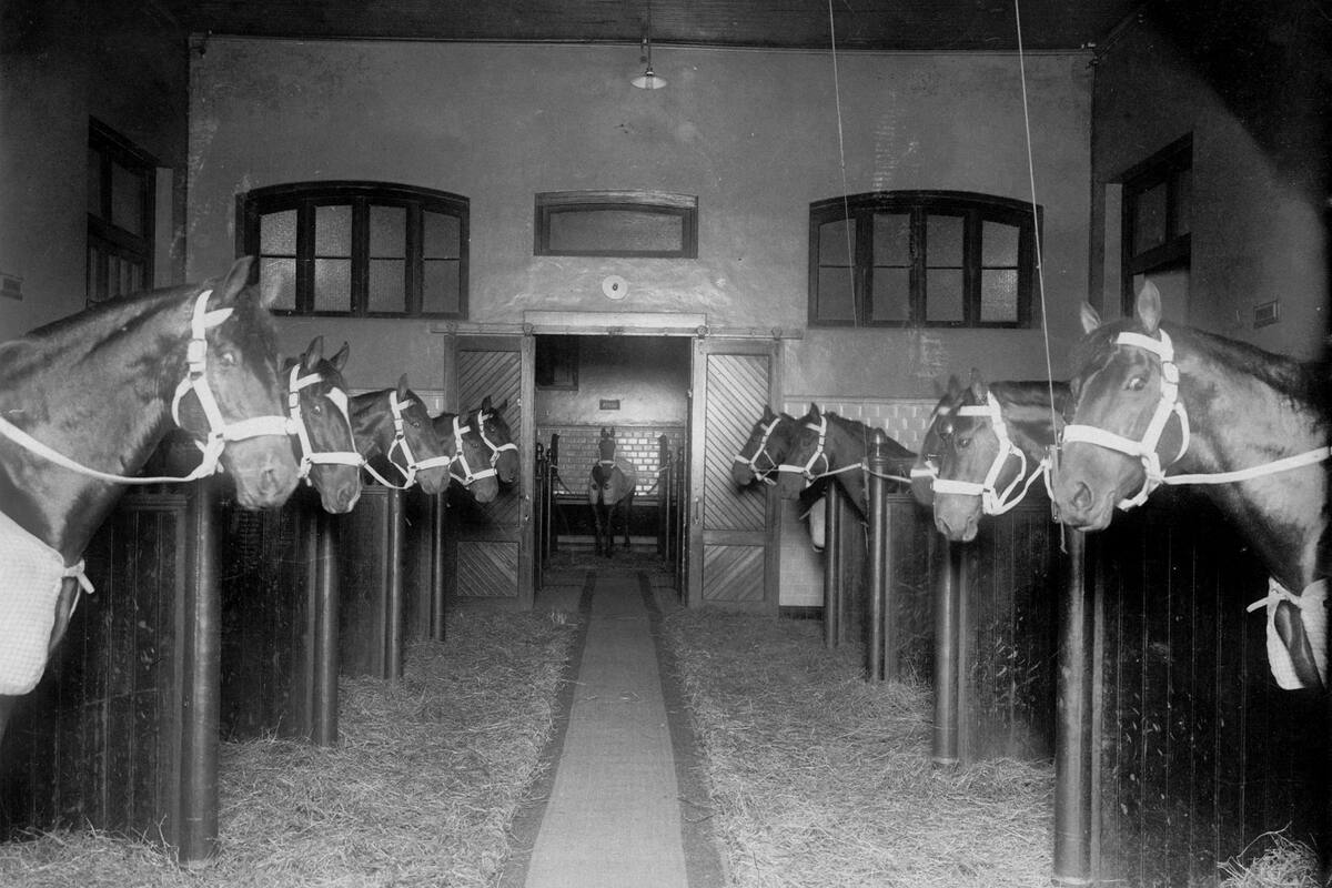 El ex presidente Roca ordenó la construcción del edificio para instalar allí la caballeriza que luego se transformó en estacionamiento de vehículos oficiales