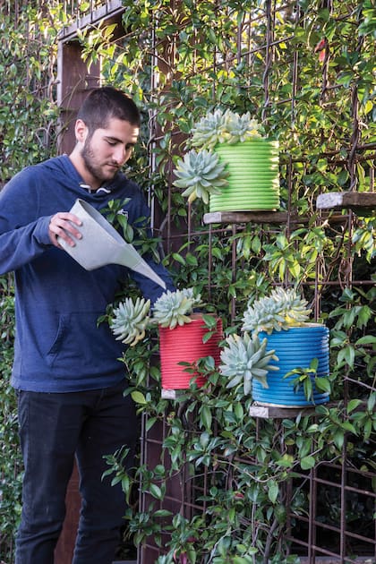 El exceso de agua, más que el frío, es el principal enemigo de las suculentas durante el invierno