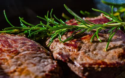 El exceso de consumo de carne de ternera, buey y cordero puede incrementan los niveles de colesterol (Imagen de carácter ilustrativo: PIXABAY)