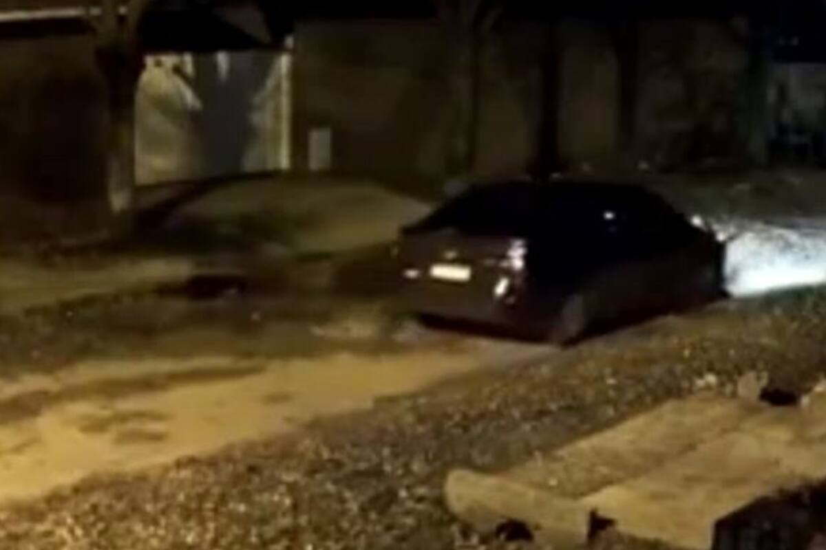 El exdiputado habría pasado con el auto y habría disparado a la perra que dormía en la vereda en la madrugada del lunes