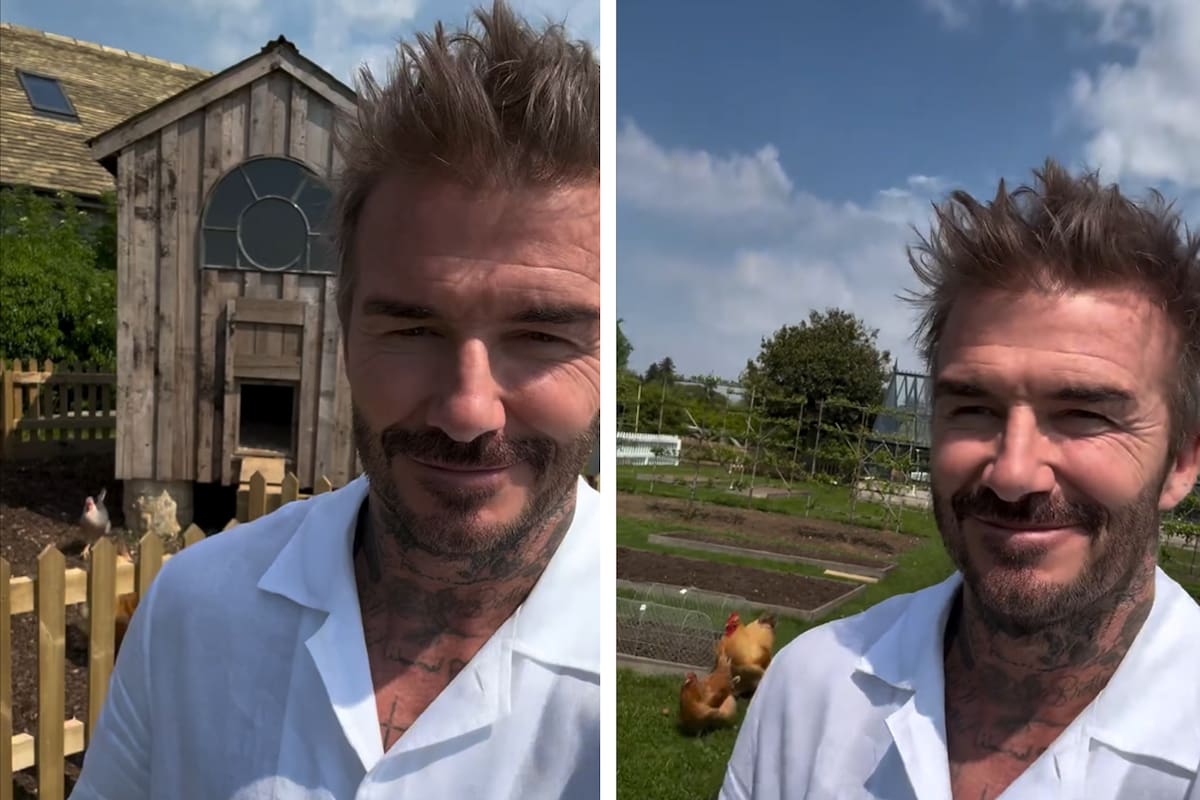 El exfutbolista compartió un video en su cuenta de Instagram con los animales de su granja en Inglaterra