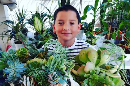 El exitoso negocio de Aaron comenzó con ocho suculantes