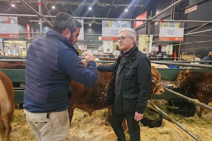 El exministro de Agricultura, Julián Domínguez, en el pabellón bovino de la Exposición Rural de Palermo