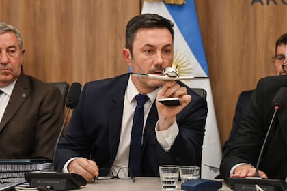 El exministro de Defensa Luis Petri aparece como uno de los diputados que defenderá el proyecto