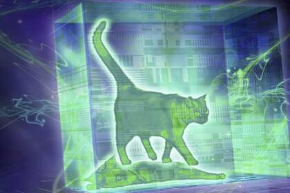 El experimento diseñado por Haroche con láseres permitió ver al "gato" de Schrödinger y decidir si estaba vivo o muerto por primera vez en la historia