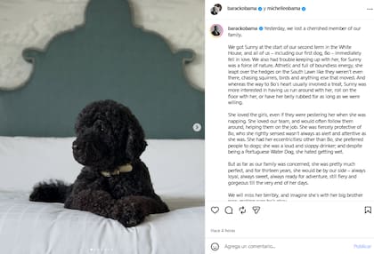 El expresidente de los Estados Unidos le dedicó un emotivo posteo a su mascota (Foto: Instagram @barackobama)