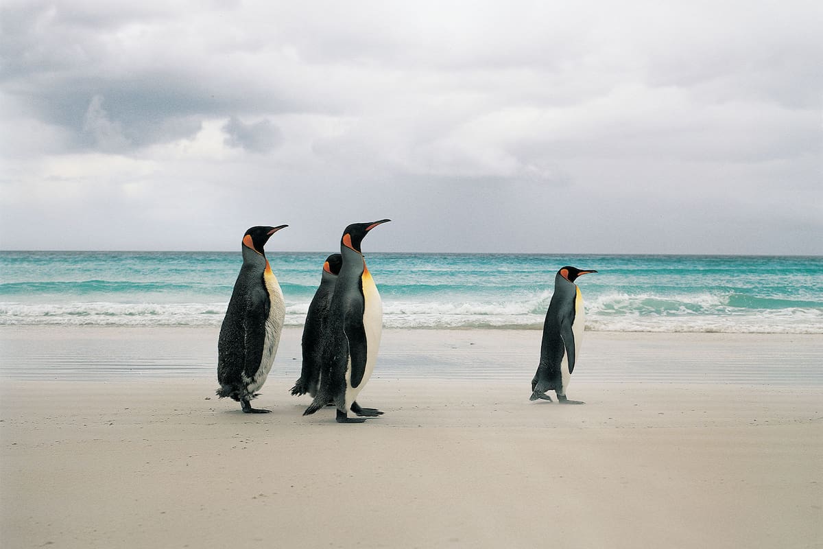 El expresidente impuso gravámenes que afectan desde las Islas Malvinas, cuya economía depende de la exportación de mariscos y pescado