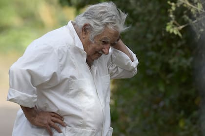 El expresidente uruguayo José Mujica en su finca en Rincón del Cerro, Montevideo
