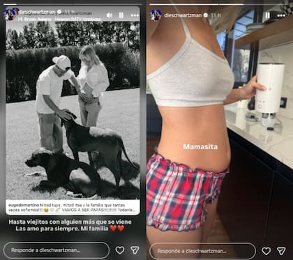 El extenista expresó su felicidad por su nuevo rol de padre (Foto: Instagram @eugedemartino)