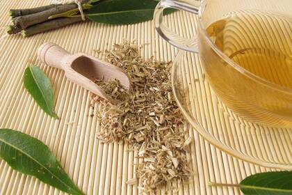 El extracto de corteza de sauce contiene vitaminas como la C, B1 y B2