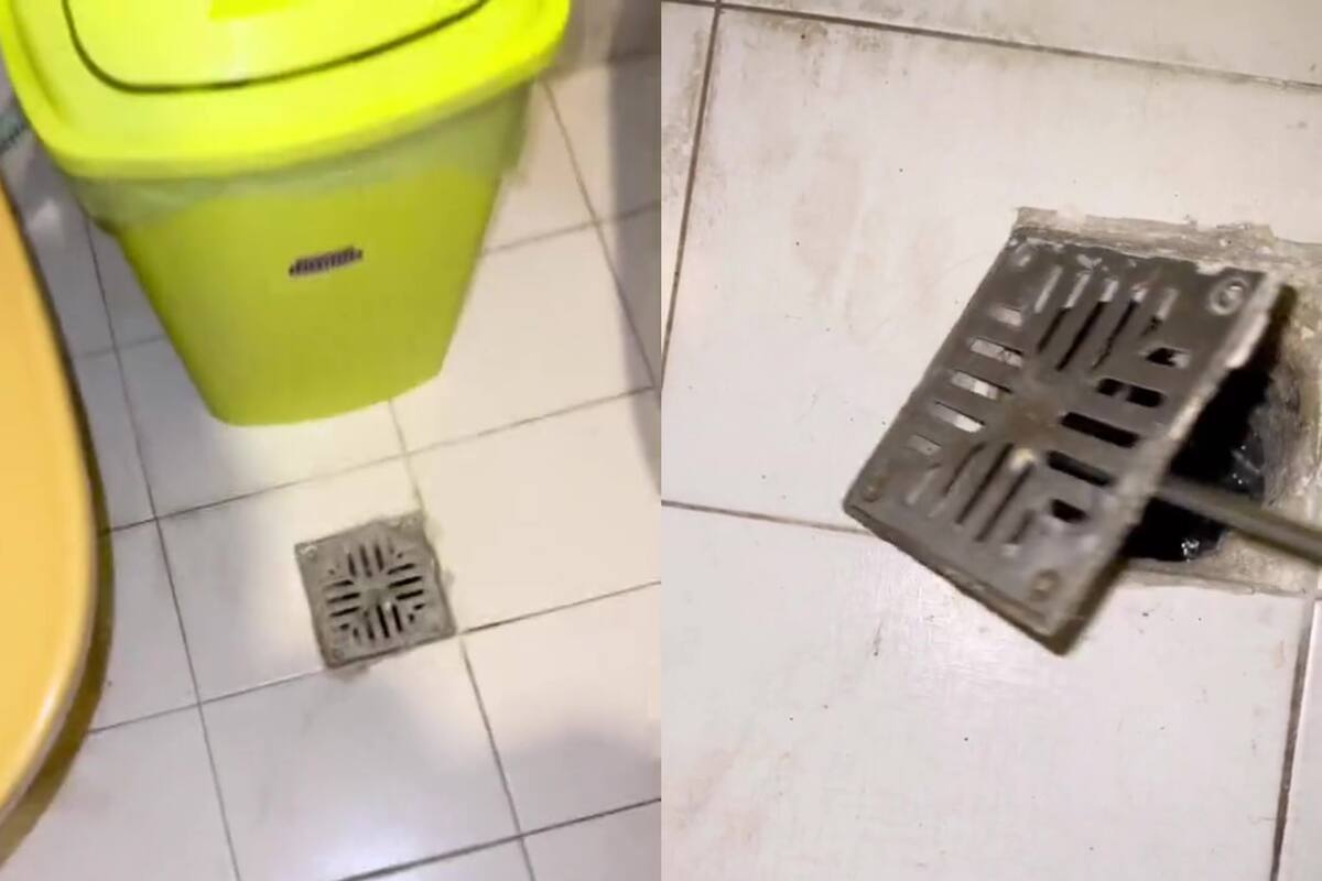 El extraño descubrimiento que un usuario hizo en su baño