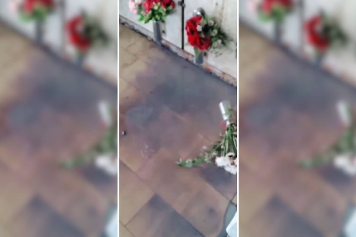 El extraño fenómeno del cementerio de Tigre