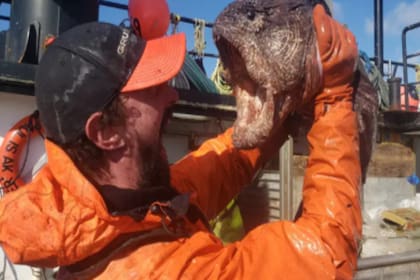 El extraño pez fue capturado en Alaska