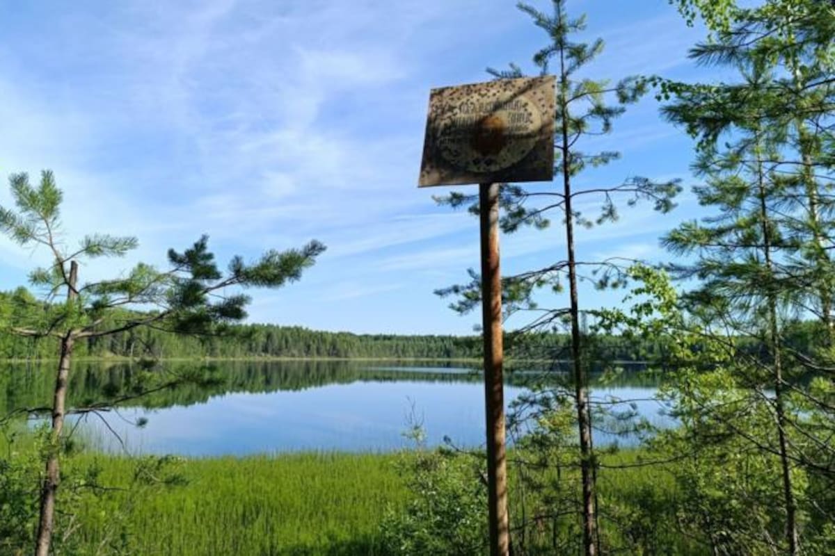 El extraordinario -y fallido- plan soviético para revertir el curso de los ríos en Siberia con bombas atómicas