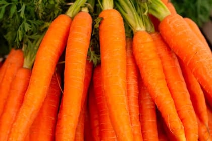 El falcarinol está presente en las zanahorias (Foto Unsplash)