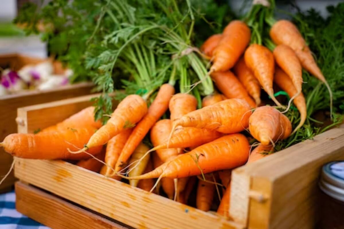 El falcarinol está presente en las zanahorias (Foto Unsplash)