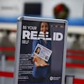 Qué pasa si un trabajador muestra una Real ID durante una redada migratoria