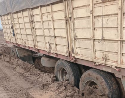 El fallo del Juzgado en lo Contencioso Administrativo de Pergamino obliga a realizar las tareas necesarias para mantener transitable el acceso al establecimiento La Querencia